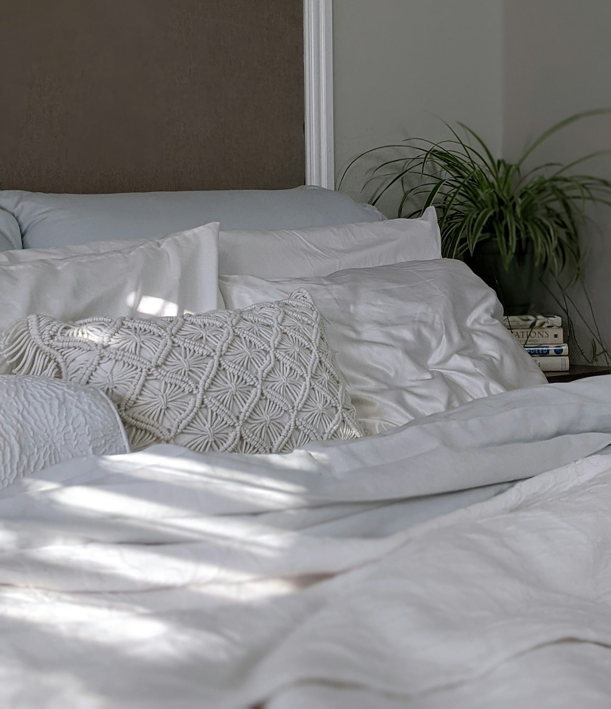 Fitted Sheet